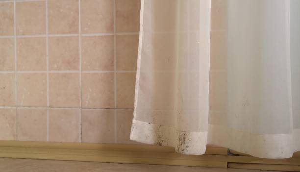 Best Emergency Mold Remediation  in Marion Oaks, FL
