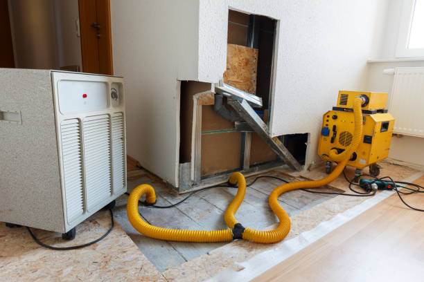 Mold Odor Removal Services in Marion Oaks, FL
