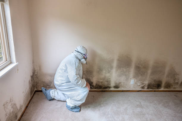 Asbestos and Lead Testing During Mold Inspection in Marion Oaks, FL