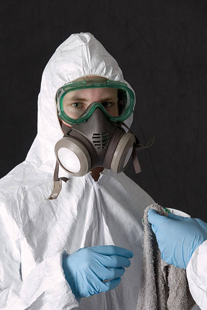 Best Black Mold Removal  in Marion Oaks, FL
